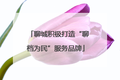 聊城积极打造“聊档为民”服务品牌