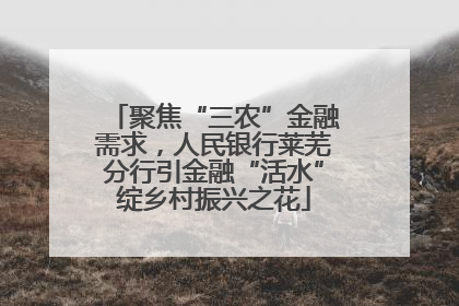 聚焦“三农”金融需求，人民银行莱芜分行引金融“活水”绽乡村振兴之花