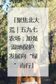 聚焦北大荒｜五九七农场：加强湿地保护 发展向“绿”而行
