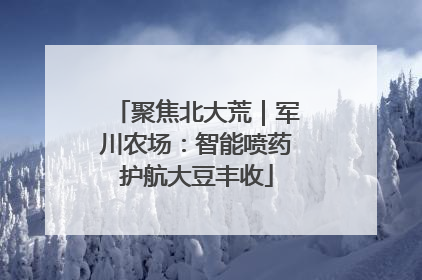 聚焦北大荒｜军川农场：智能喷药护航大豆丰收