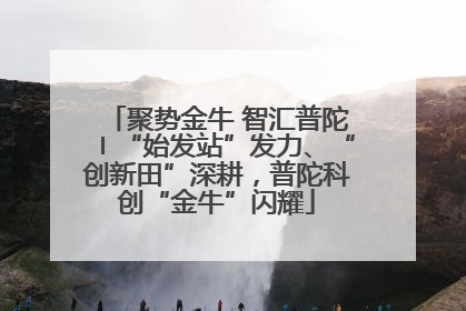 聚势金牛 智汇普陀〡“始发站”发力、“创新田”深耕，普陀科创“金牛”闪耀