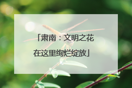 肃南：文明之花在这里绚烂绽放