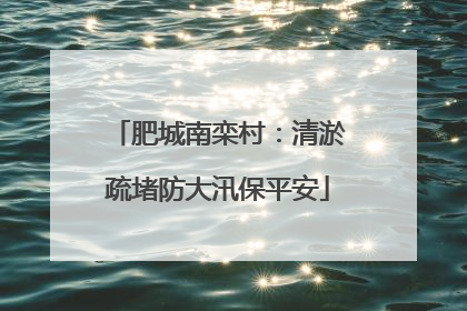 肥城南栾村：清淤疏堵防大汛保平安