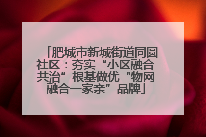 肥城市新城街道同圆社区：夯实“小区融合共治”根基做优“物网融合一家亲”品牌