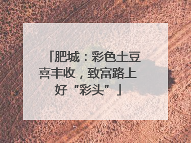 肥城：彩色土豆喜丰收，致富路上好“彩头”