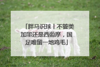 胖马识球丨不管美加墨还是西葡摩，国足唯留一地鸡毛