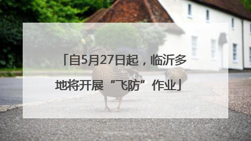 自5月27日起，临沂多地将开展“飞防”作业