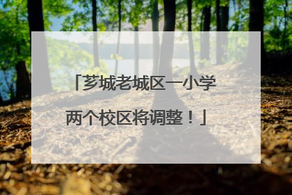 芗城老城区一小学两个校区将调整！