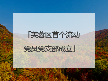 芙蓉区首个流动党员党支部成立