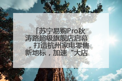 苏宁易购Pro秋涛路超级旗舰店启幕，打造杭州家电零售新地标，加速“大店攻略”全省布局
