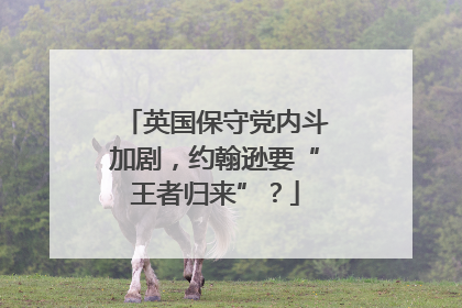 英国保守党内斗加剧，约翰逊要“王者归来”？