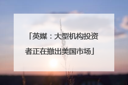 英媒：大型机构投资者正在撤出美国市场
