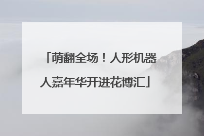 萌翻全场！人形机器人嘉年华开进花博汇