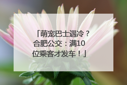 萌宠巴士遇冷？合肥公交：满10位乘客才发车！