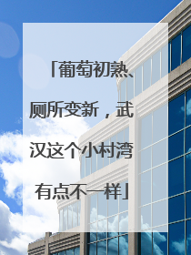 葡萄初熟、厕所变新，武汉这个小村湾有点不一样