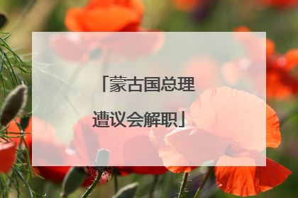 蒙古国总理遭议会解职