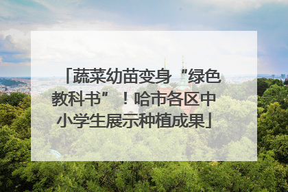 蔬菜幼苗变身“绿色教科书”！哈市各区中小学生展示种植成果