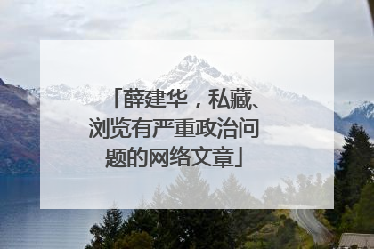 薛建华，私藏、浏览有严重政治问题的网络文章