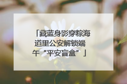藏蓝身影穿粽海 道里公安解锁端午“平安盲盒”