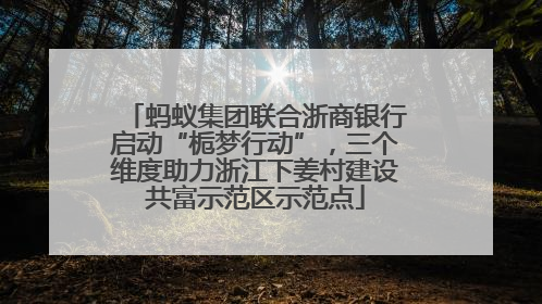 蚂蚁集团联合浙商银行启动“栀梦行动”，三个维度助力浙江下姜村建设共富示范区示范点