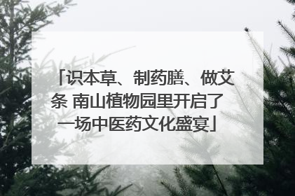 识本草、制药膳、做艾条 南山植物园里开启了一场中医药文化盛宴