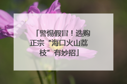 警惕假冒！选购正宗“海口火山荔枝”有妙招