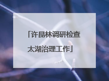 许昆林调研检查太湖治理工作