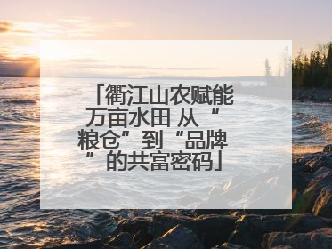 衢江山农赋能万亩水田 从“粮仓”到“品牌”的共富密码