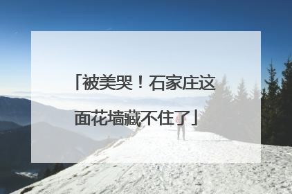 被美哭！石家庄这面花墙藏不住了