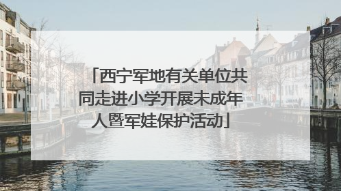 西宁军地有关单位共同走进小学开展未成年人暨军娃保护活动