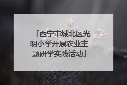 西宁市城北区光明小学开展农业主题研学实践活动