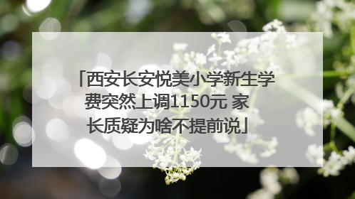 西安长安悦美小学新生学费突然上调1150元 家长质疑为啥不提前说