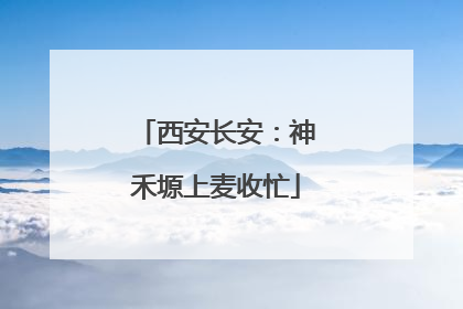 西安长安：神禾塬上麦收忙