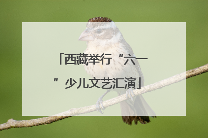 西藏举行“六一”少儿文艺汇演