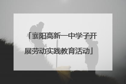 襄阳高新一中学子开展劳动实践教育活动