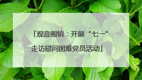 观音阁镇：开展“七一”走访慰问困难党员活动
