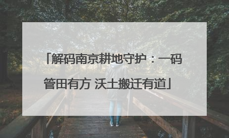 解码南京耕地守护：一码管田有方 沃土搬迁有道
