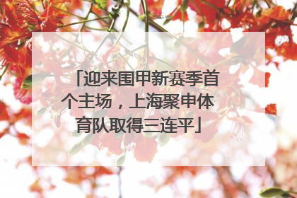 迎来围甲新赛季首个主场，上海聚申体育队取得三连平