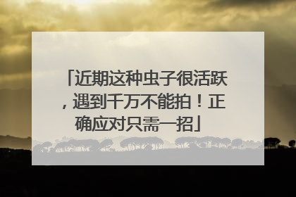 近期这种虫子很活跃，遇到千万不能拍！正确应对只需一招