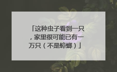 这种虫子看到一只，家里很可能已有一万只（不是蟑螂）