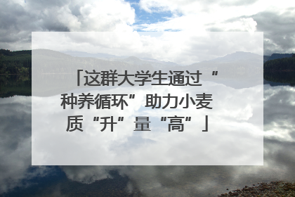 这群大学生通过“种养循环”助力小麦质“升”量“高”