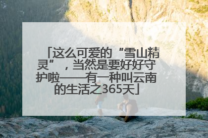 这么可爱的“雪山精灵”，当然是要好好守护啦——有一种叫云南的生活之365天