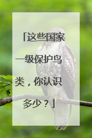 这些国家一级保护鸟类，你认识多少？