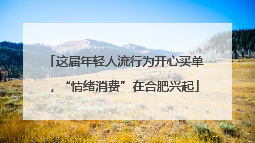 这届年轻人流行为开心买单，“情绪消费”在合肥兴起