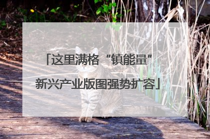 这里满格“镇能量” 新兴产业版图强势扩容