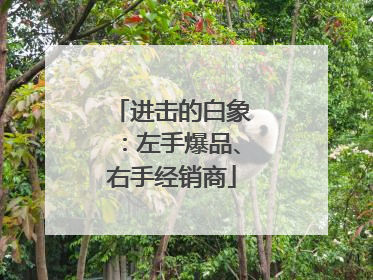 进击的白象：左手爆品、右手经销商