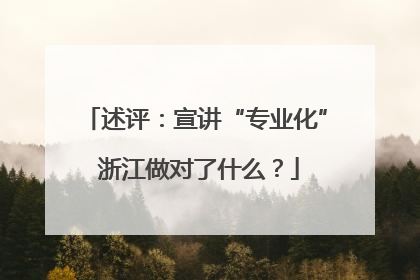 述评：宣讲“专业化” 浙江做对了什么？