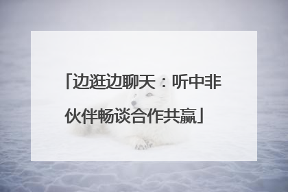 边逛边聊天：听中非伙伴畅谈合作共赢