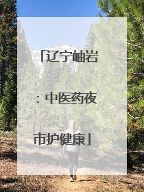 辽宁岫岩：中医药夜市护健康
