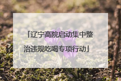 辽宁高院启动集中整治违规吃喝专项行动